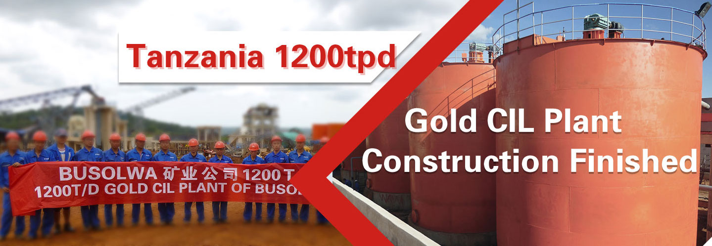Tanzania 1200tpd Gold Mineral Process Plant