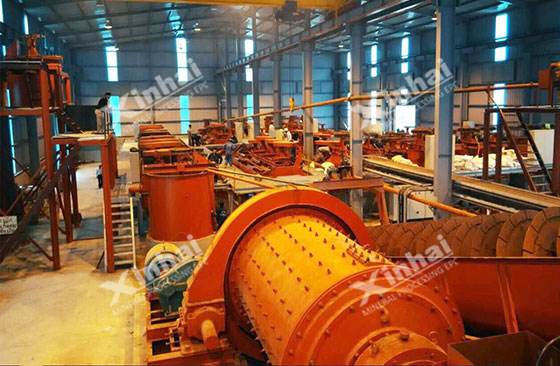 Vietnam 800tpd graphite ore processing plant