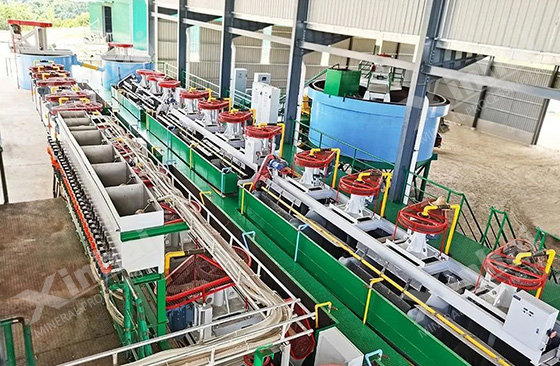 flotation machine for mineral processing