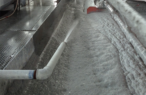 ore pulp in froth flotation cell