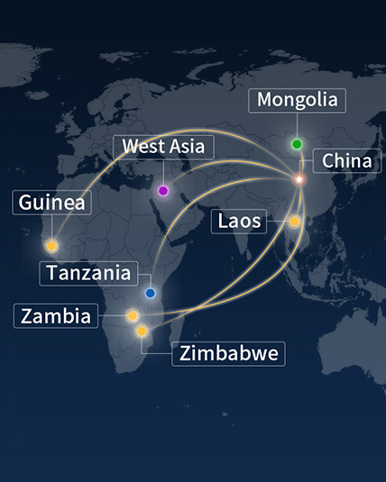 The Strength Behind Project Success