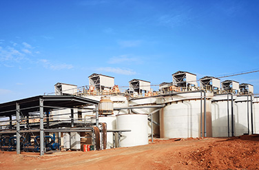 Strong Start to 2026 A Global Momentum