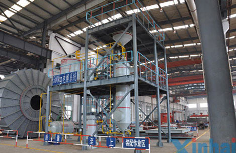 Tanzania 1200tpd Gold Mineral Process Plant