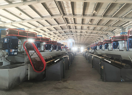 1,000 t/d Gold Tailings Reprocessing Plant Project 
					in Shandong Province, China