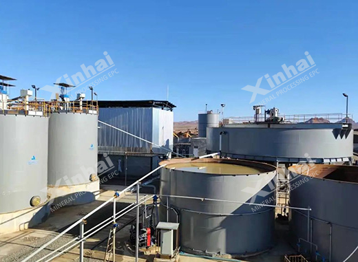 Iran 500TPD Gold Mineral Processing Plant
