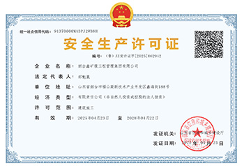 Why Choose Xinhai Mining Engineering Services?