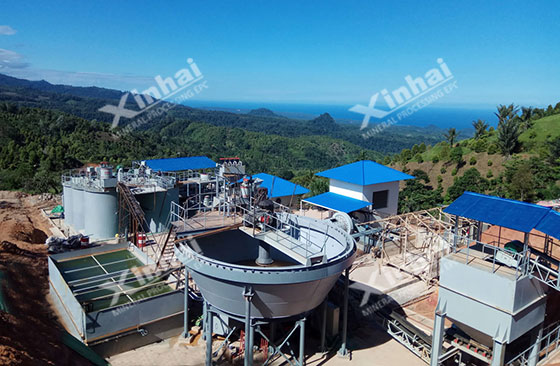 Indonesia-gold-plant Indonesia-gold-plant