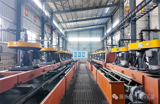Henan 1500t/d Polymetallic Ore Processing Project_2
