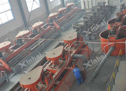 Shandong 2,000t/d Molybdenum-Tungsten Mineral Processing Plant