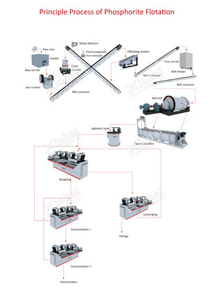 principle-process-of-prosphorite-flotation.jpg