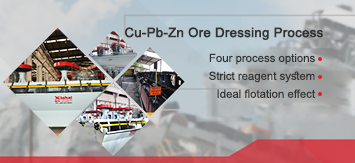 Xinhai Cu-Pb-Zn Ore Dressing Process