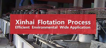 Xinhai flotation process