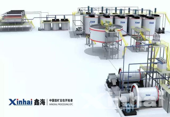 Flow of Xinhai 3D mineral processing plant