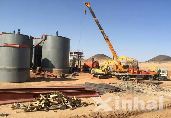 The hoisting of the double impeller high efficient leaching tank