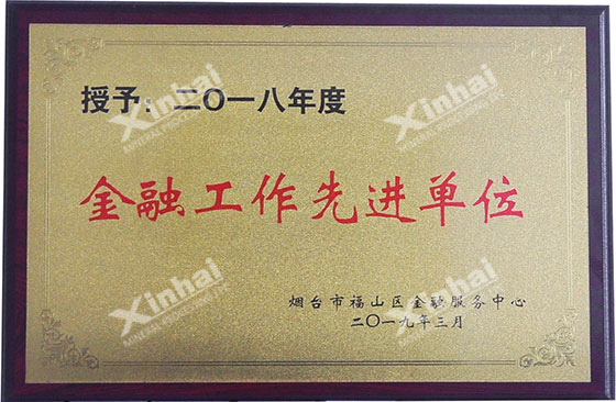 Xinhai Mining won the honorary title of 2018 Advanced Unit in Financial Work Xinhai Mining won the honorary title of 2018 Advanced Unit in Financial Work