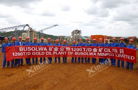 In 2012, Tanzania 1200tpd gold processing plant