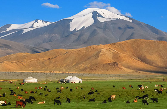 Mongolia