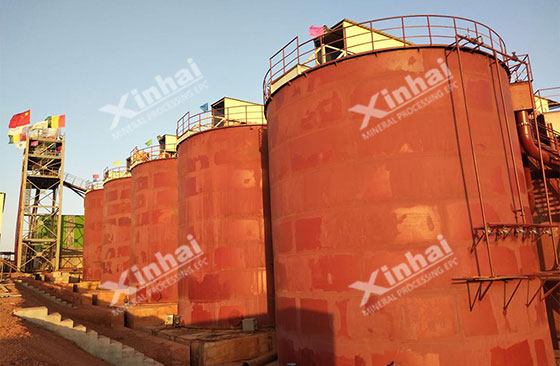 Guinea 8000tpd gold mineral processing project
