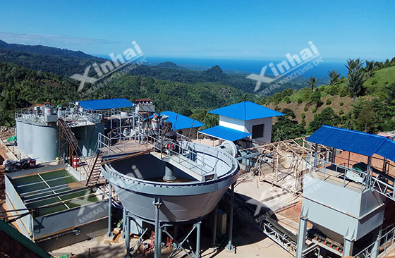 Indonesia-100tpd-gold-mineral-processing-project