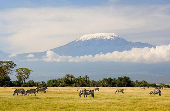 Tanzania