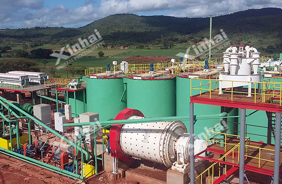 Zimbabwe 700tpd gold mineral processing project
