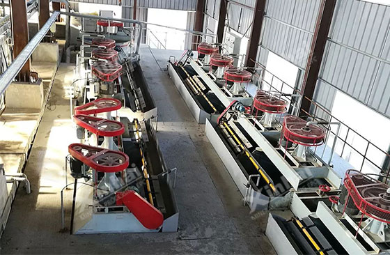 insatlled xinhai flotation machine for mineral processing