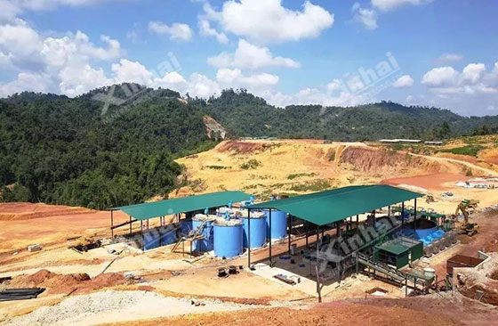 Malaysia 700tpd gold processing project