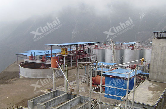 Gansu China 1000tpd gold processing project