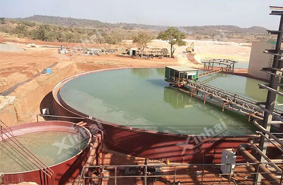 Guinea 4000tpd gold processing project Guinea 4000tpd gold processing project