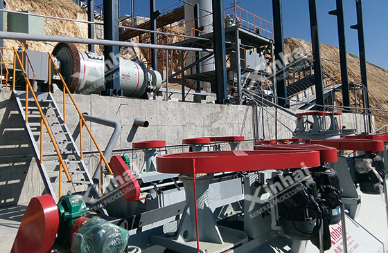 gold flotation plant gold flotation plant