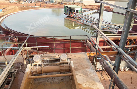 Guinea 6000tpd gold processing plant Guinea 6000tpd gold processing plant