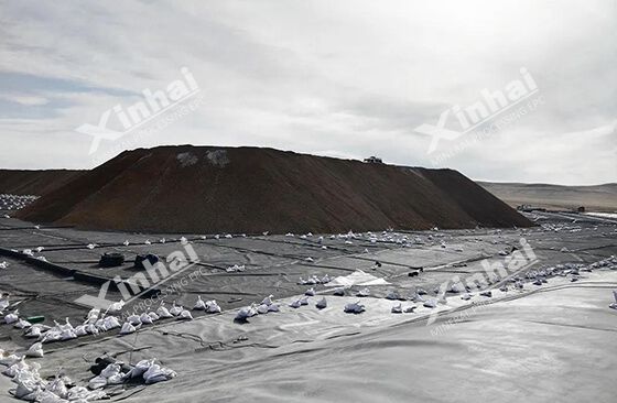 gold heap leaching process flow