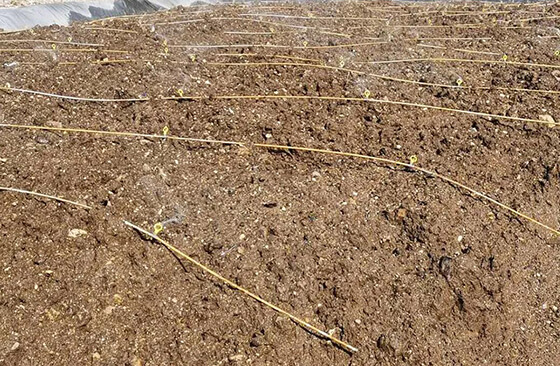 gold heap leaching process flow gold heap leaching process flow
