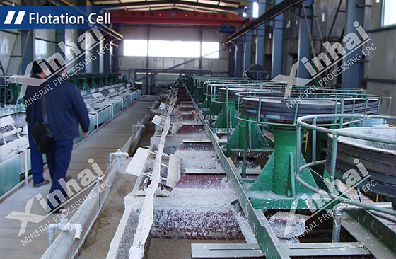 flotation cell flotation cell