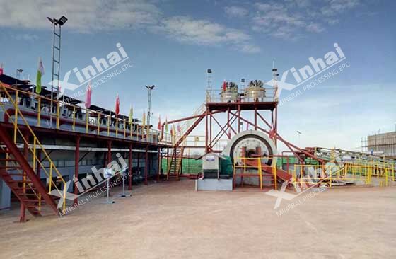 phosphate flotation process