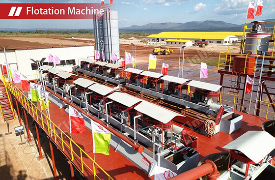 flotation machine flotation machine