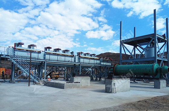 Quartz Flotation Processing Plant