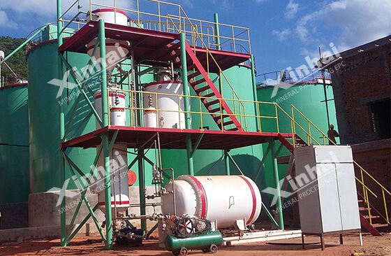 Zimbabwe 700tpd gold processing project