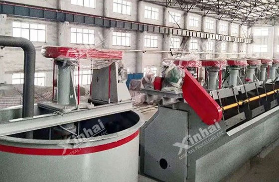 flotation-cell machine made in xinhai for mineral processing