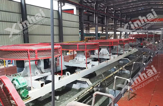 flotation system for gold mine processing