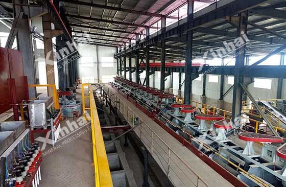 iron ore flotation plant in China