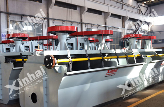 mineral flotation cell manufactured in xinhai