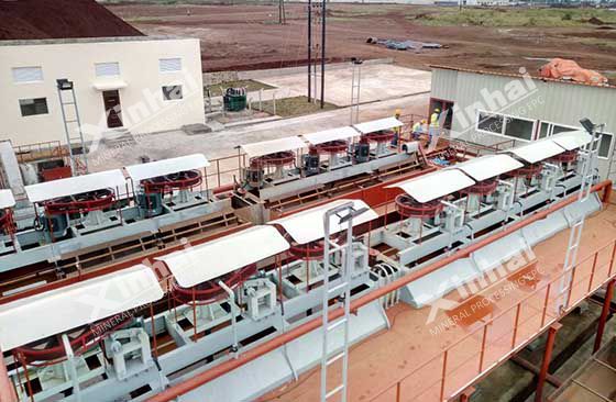 Flotation Beneficiation Process for Scheelite Mineral