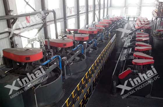 xinhai flotation cell designed for mineral beneficiation