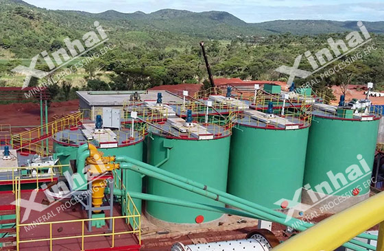 zimbabwe 700tpd gold plant project2