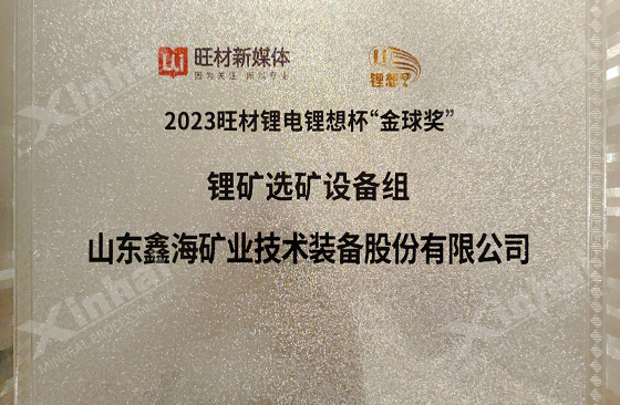 Wangcai-Lithium-Battery-Lithium-Dream-Cup-Golden-Globe-Award.jpg