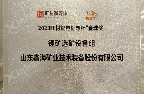 Wangcai-Lithium-Battery-Lithium-Dream-Cup-Golden-Globe-Award.jpg Wangcai-Lithium-Battery-Lithium-Dream-Cup-Golden-Globe-Award.jpg
