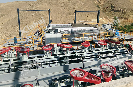 fluorite-ore-processing-system-for-flotation-separation.jpg