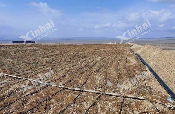 gold heap leaching technology gold heap leaching technology