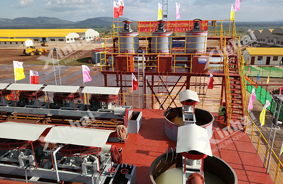 gold ore flotation separation system